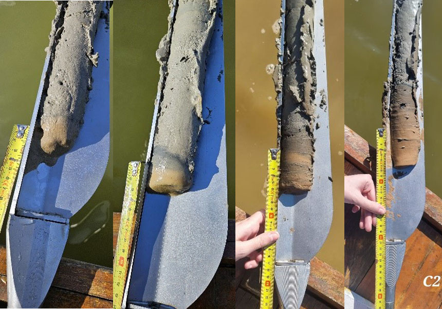 (From left to right). Samples obtained from the Albufera lake with a sediment extractor, in the south, west, north and center.